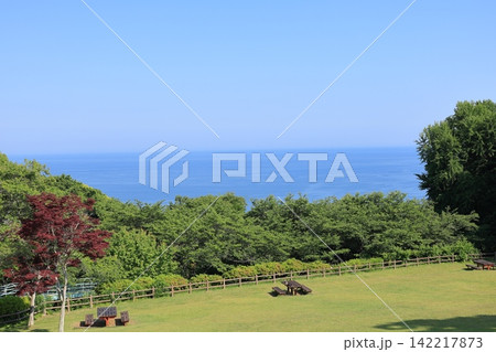 神奈川県・二宮町・吾妻山公園 神奈川県・二宮町・吾妻山公園 142217873