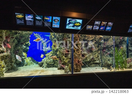 水族館は楽しい 水族館は楽しい 142218063