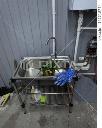 Stainless steel utility sink with chrome faucet; gloves resting on edge, plant in sink 142218754