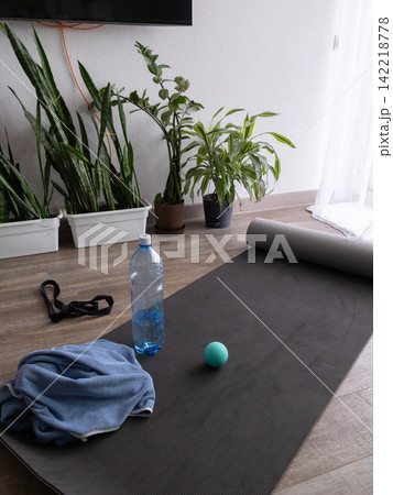 Plant-filled indoor yoga mat setup for home workouts in bright daylight Plant-filled indoor yoga mat setup for home workouts in bright daylight 142218778