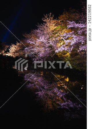 池に映る夜桜と紅葉 清水寺の水鏡 池に映る夜桜と紅葉 清水寺の水鏡 142219082