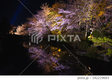 池畔の夜桜と紅葉 清水寺のライトアップ庭園 142219083