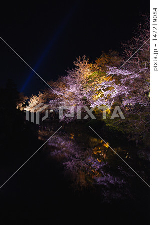 清水寺の池に映る夜桜 幻想的な夜景 清水寺の池に映る夜桜 幻想的な夜景 142219084