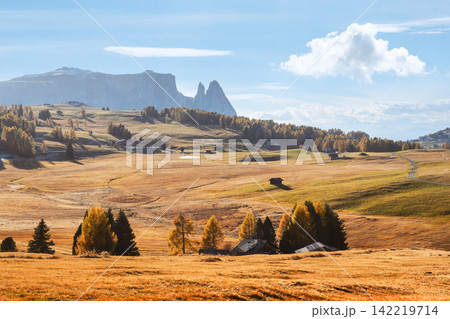 Sciliar rises above the rolling meadows of Alpe di Siusi during autumn Sciliar rises above the rolling meadows of Alpe di Siusi during autumn 142219714