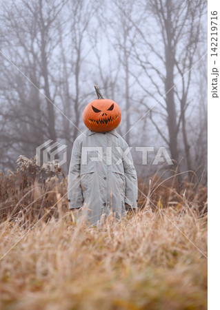 Pumpkin headed scarecrow standing in tall dry grass Pumpkin headed scarecrow standing in tall dry grass 142219716