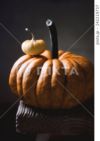 Two orange mini pumpkins on rustic wooden table close up Two orange mini pumpkins on rustic wooden table close up 142219737