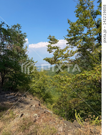 Scenic mountain forest view framed by summer trees 142219808