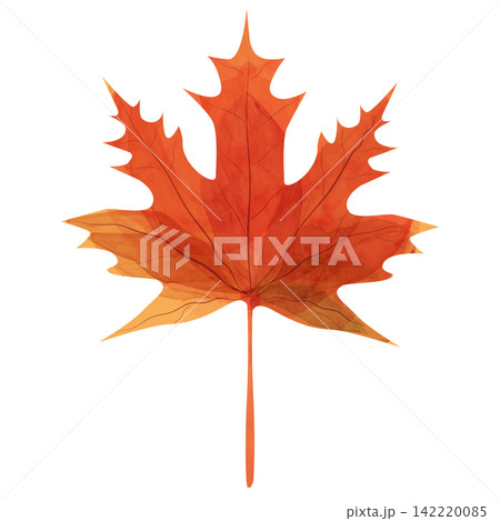 Vibrant Red Maple Leaf Illustrating the Beauty of Autumn with Elegant Shapes and Translucent Layers, Capturing Nature's Seasonal Transformation and Artistic Appeal Vibrant Red Maple Leaf Illustrating the Beauty of Autumn with Elegant Shapes and Translucent Layers, Capturing Nature's Seasonal Transformation and Artistic Appeal 142220085