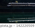 高山本線　キハ85 142220509