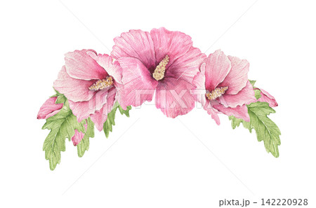 Watercolor hibiscus arrangement with several pink blossoms and green leaves, an illustration for wedding invitations, cards, stationery, menus, packaging, posters and summer crafts. Watercolor hibiscus arrangement with several pink blossoms and green leaves, an illustration for wedding invitations, cards, stationery, menus, packaging, posters and summer crafts. 142220928
