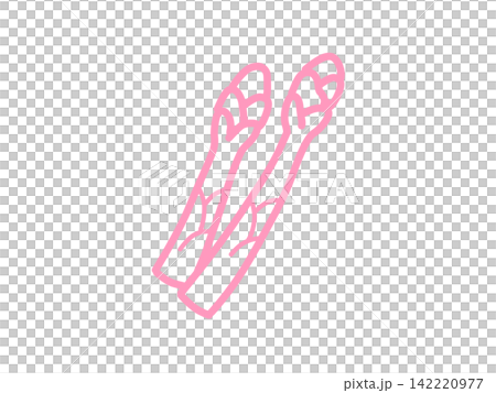 Hand-drawn asparagus vegetable illustration, pink Hand-drawn asparagus vegetable illustration, pink 142220977