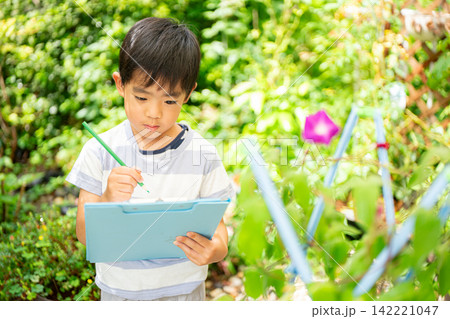 夏休みの宿題に朝顔の絵日記を書く小学一年生の男の子 142221047