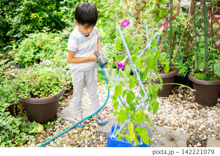 夏休みの宿題に朝顔の絵日記を書く小学一年生の男の子 夏休みの宿題に朝顔の絵日記を書く小学一年生の男の子 142221079