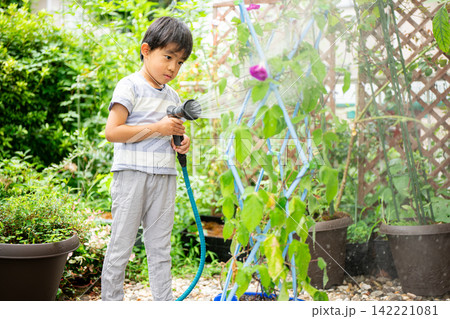 夏休みの宿題に朝顔の絵日記を書く小学一年生の男の子 夏休みの宿題に朝顔の絵日記を書く小学一年生の男の子 142221081