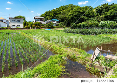 東京都調布市の田園風景と水の管理 東京都調布市深大寺南町 東京都調布市の田園風景と水の管理 東京都調布市深大寺南町 142221100