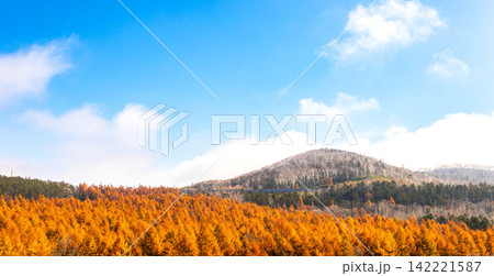 爽快感のある青空と秋の北海道狩勝峠のシンプルな風景 爽快感のある青空と秋の北海道狩勝峠のシンプルな風景 142221587