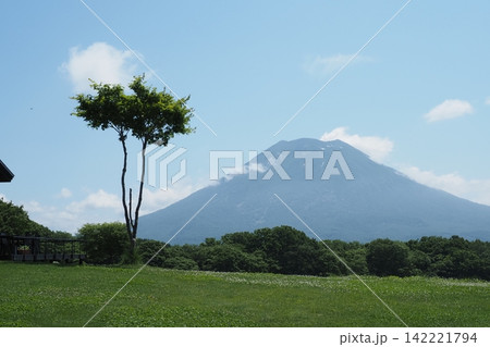 ニセコから見た羊蹄山 142221794