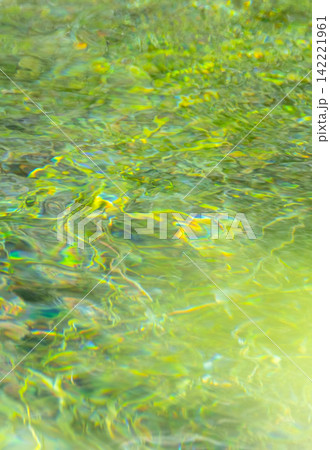 水面に映る森の新緑・清流・夏色イメージ素材 水面に映る森の新緑・清流・夏色イメージ素材 142221961