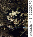 夜に輝く桜 142222070