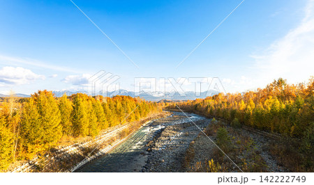 爽やかな秋の北海道美瑛町を流れる美瑛川と紅葉と十勝岳連峰 爽やかな秋の北海道美瑛町を流れる美瑛川と紅葉と十勝岳連峰 142222749