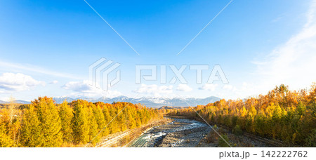 爽やかな秋の北海道美瑛町を流れる美瑛川と紅葉と十勝岳連峰 142222762