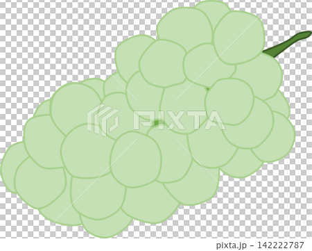 秋季美食插畫(Shine Muscat葡萄) 秋季美食插畫(Shine Muscat葡萄) 142222787