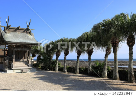 南国らしい木と青島神社の海を望む風景写真 南国らしい木と青島神社の海を望む風景写真 142222947