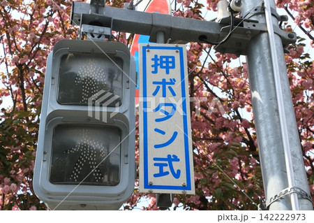 押しボタン式歩行者用信号 押しボタン式歩行者用信号 142222973