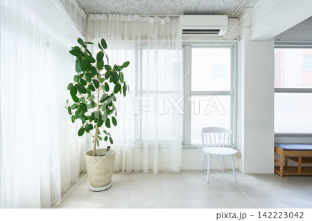 観葉植物とチェアのある明るい部屋 観葉植物とチェアのある明るい部屋 142223042