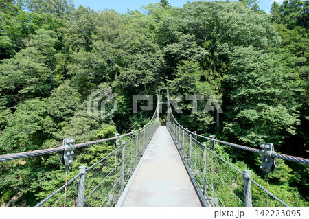 長野県飯田市_天龍峡つつじ橋6_2025年8月 長野県飯田市_天龍峡つつじ橋6_2025年8月 142223095