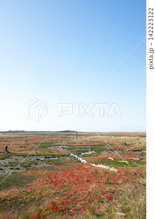 秋の北海道道東根室市にある春国岱の雄大な風景 秋の北海道道東根室市にある春国岱の雄大な風景 142223122