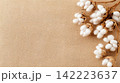 Pristine Cotton Seeds and Fibers on Eco Friendly Background 142223637