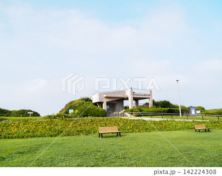 城ヶ島の夏 城ヶ島の夏 142224308