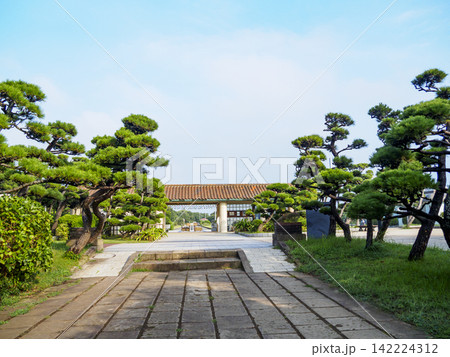 城ヶ島の夏 城ヶ島の夏 142224312