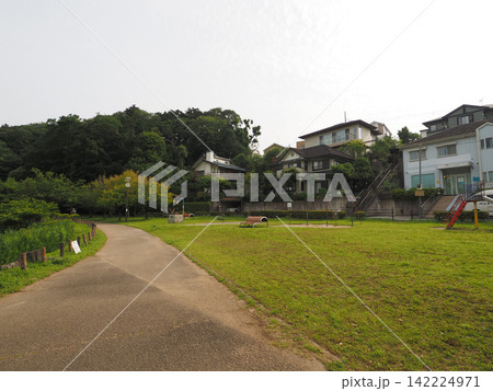 じゅん菜池緑地　2023年6月 142224971