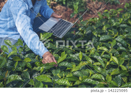 Smart farmer hands using laptop eco green farm sustainable quality control. Close up Hand typing laptop computer quality control plant tree. Farmer use technology checking eco Farmland biotechnology Smart farmer hands using laptop eco green farm sustainable quality control. Close up Hand typing laptop computer quality control plant tree. Farmer use technology checking eco Farmland biotechnology 142225095