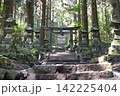 上色見熊野座神社の参道と杉林 142225404