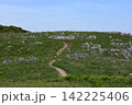 平尾台カルストの草原と遊歩道 142225406