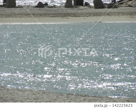 輝く海 142225623