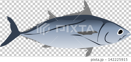 カツオのイラスト 142225915
