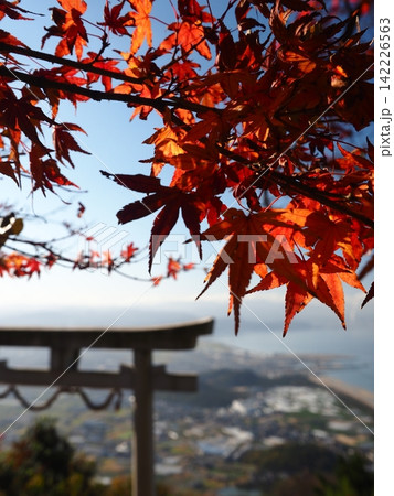 天空の鳥居　香川県の高屋神社 142226563