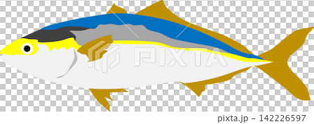 イナダのイラスト イナダのイラスト 142226597