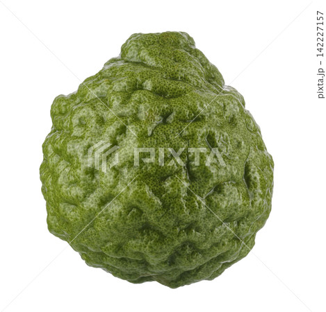 Fresh Green Kaffir Lime Fruits isolated on a white background Fresh Green Kaffir Lime Fruits isolated on a white background 142227157