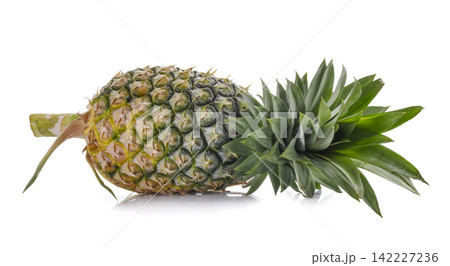 Fresh pineapple fruit with green leaves isolated on a white background Fresh pineapple fruit with green leaves isolated on a white background 142227236