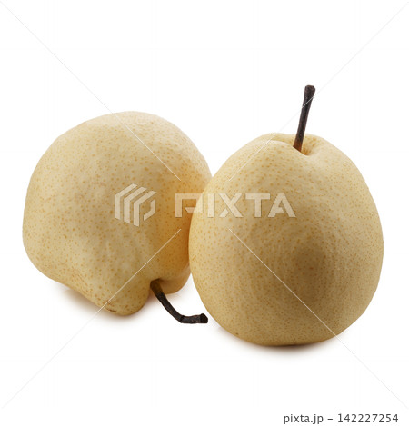 Crisp and Juicy Chinese Pear with Pale Yellow Skin isolated on a white background Crisp and Juicy Chinese Pear with Pale Yellow Skin isolated on a white background 142227254