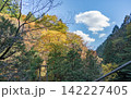 中津川・秋の付知峡 142227405