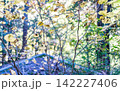 中津川・秋の付知峡 142227406
