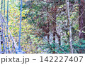中津川・秋の付知峡 142227407
