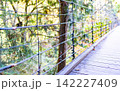 中津川・秋の付知峡 142227409