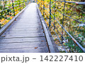 中津川・秋の付知峡 142227410